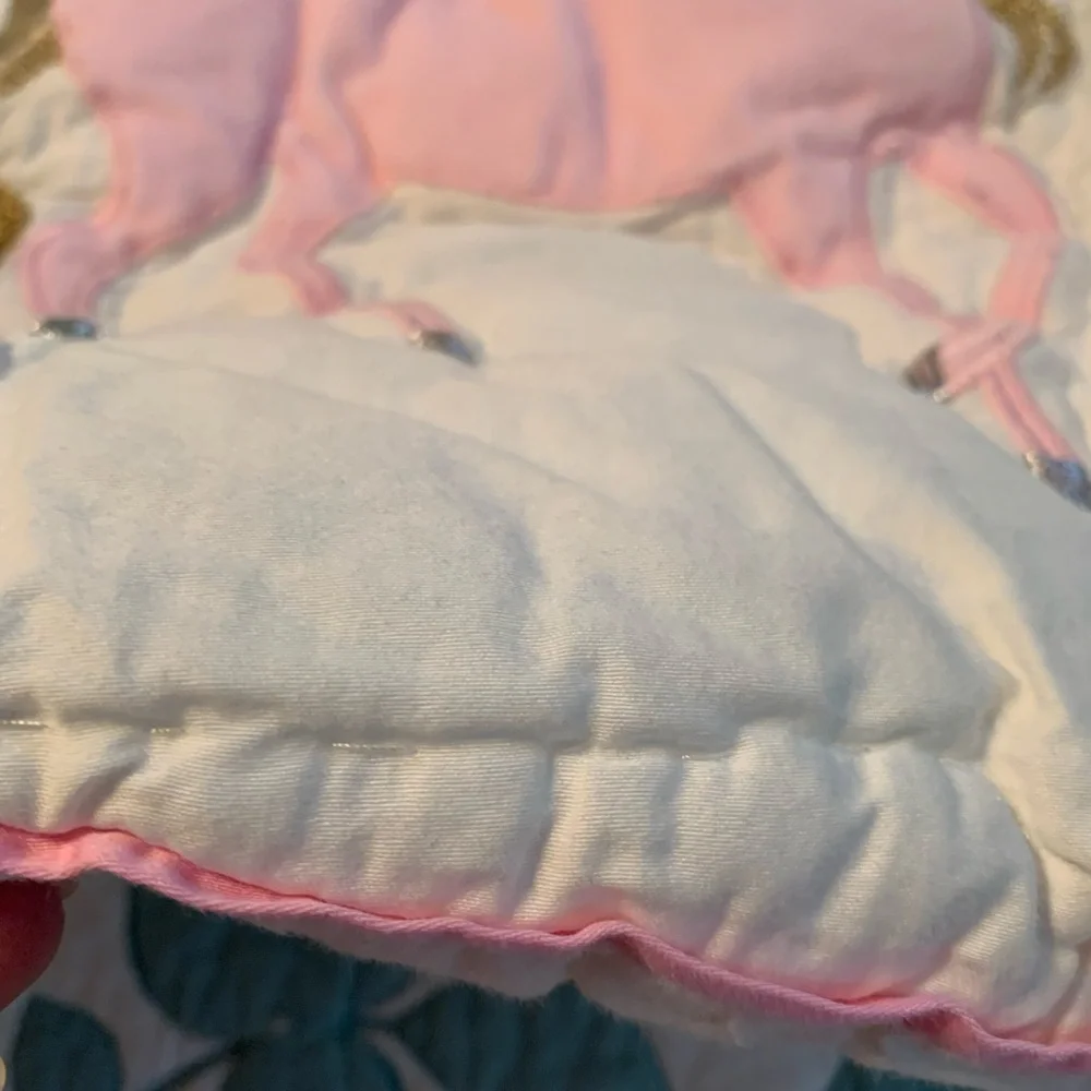 Pottery Barn Euro shams